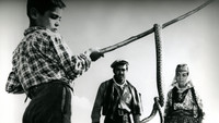 «Месть змеев (1961)» — обои к фильму #1