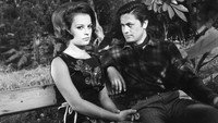 «Моя любовь и моя гордость (1965)» — обои к фильму #1