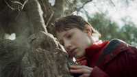 «Semina il vento (2020)» — обои к фильму #1