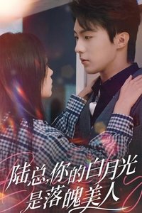 陆总, 你的白月光是落魄美人