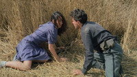 «Ночь Святого Лаврентия (1982)» — обои к фильму #1