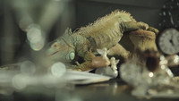 «Кто будет моим мужем? (2015)» — обои к фильму #1