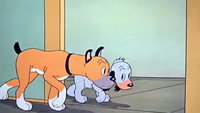 «Любопытный щенок (1939)» — обои к мультфильму #1