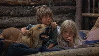 «Приключения семьи в глуши (1975)» — обои к фильму #4