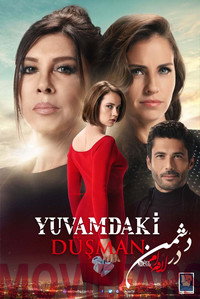 Постер сериала «Враг в моем доме (2018)» — (2 из 3)