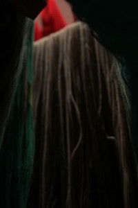 Imagem do Filme Les fantômes de l'escarlate