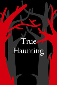 Poster de True Haunting