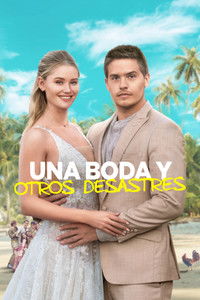 Poster de Una Boda y Otros Desastres