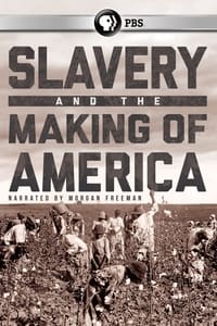Slavery and the Making of America (2005)