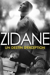 Zidane, un destin d'exception