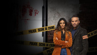 «Профайл (2009 - 2020)» — обои к сериалу #3