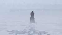 «Самый ценный груз (2024)» — обои к мультфильму #3