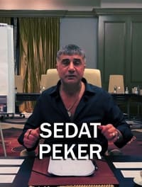 copertina serie tv Sedat+Peker+vs+AKP 2021