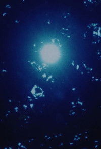 Imagem do Filme Nada fuera de la isla: Puentes