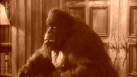 «House of Mystery (1934)» — обои к фильму #1