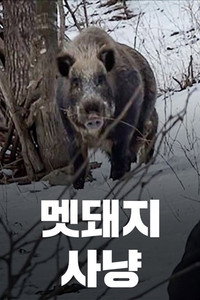 Wild Boar Hunting