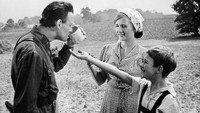 «Такой большой мальчик (1967)» — обои к фильму #1
