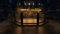 MCP 16