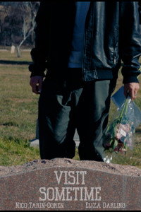 Visit Sometime (2026) poster