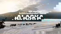 Musher, l'appel de l'Alaska