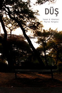 FALL/DREAM