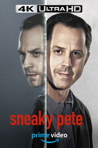 Постер сериала «Подлый Пит (2015-2019)» — (7 из 20)