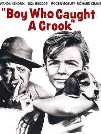 Boy Who Caught a Crook