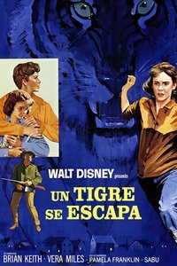 Poster de A Tiger Walks