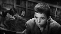 «Босой батальон (1953)» — обои к фильму #7