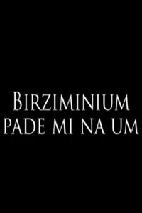 Birziminium Crossed My Mind! (2014)