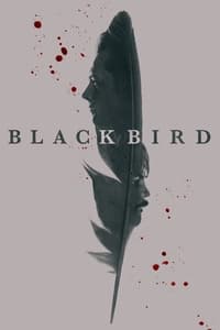 copertina serie tv Black+Bird 2022