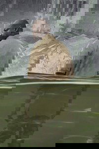 movie-images