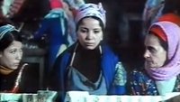 Echebka (الشبكة)