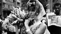 «Роза для всех (1967)» — обои к фильму #1