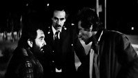 Обои к фильму «I poli pote den koimatai (1984)» — (41 из 56)