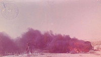Обои к фильму «Волки не едят мясо (1973)» — (15 из 39)