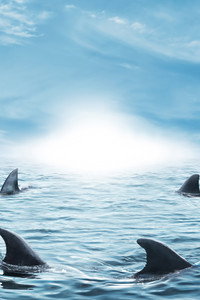 Постер сериала «Shark Tank (2009)» — (19 из 63)