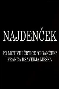 Najdenček (2011)