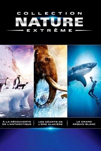 IMAX: Extreme Nature Collection