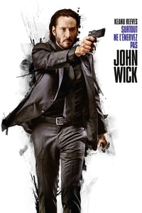 Affiche de la recommandation : John Wick