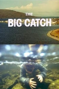 Poster de The Big Catch