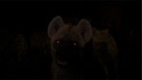 Hyenas