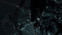 Alien vs. Predator