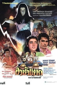 ป่าช้าแตก (1981)