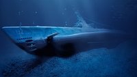 Submerged