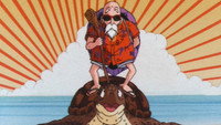 The Nimbus Cloud of Roshi