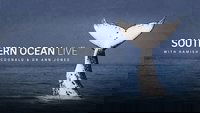 Southern Ocean Live