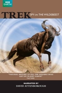 Trek - Spy on the Wildebeest