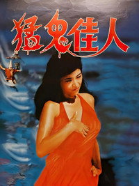 Постер фильма «猛鬼佳人 (1989)» — (1 из 2)
