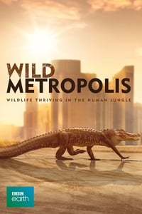 copertina serie tv Cities%3A+Nature%27s+New+Wild 2018